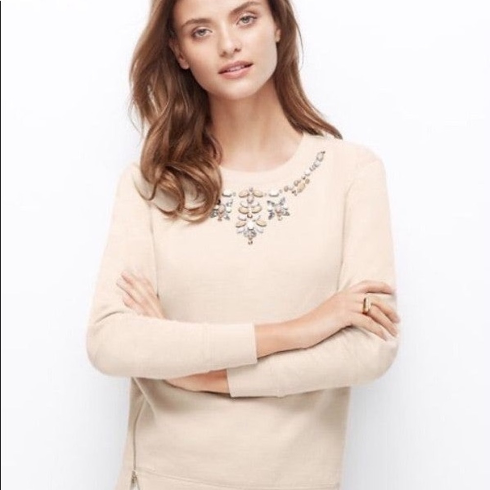Ann Taylor Jeweled Mauve crewneck Sweater S